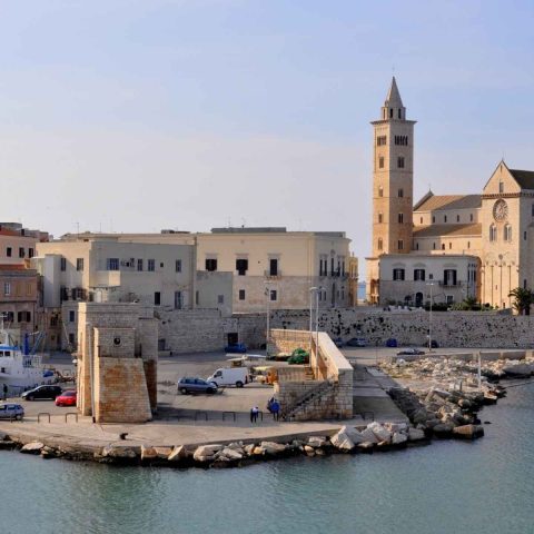 Trani - di Mareike Uhl da Getty Images via canva.com
