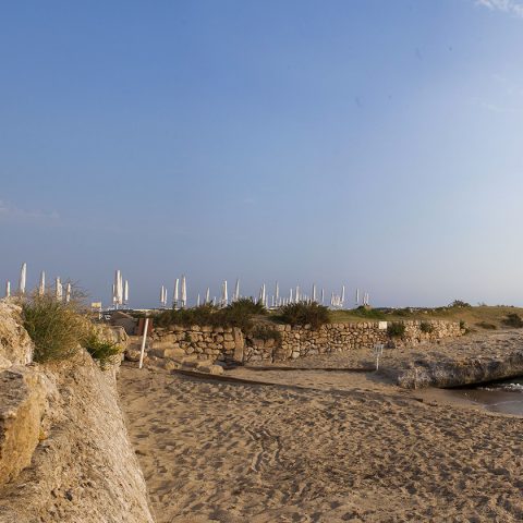 Archeolido