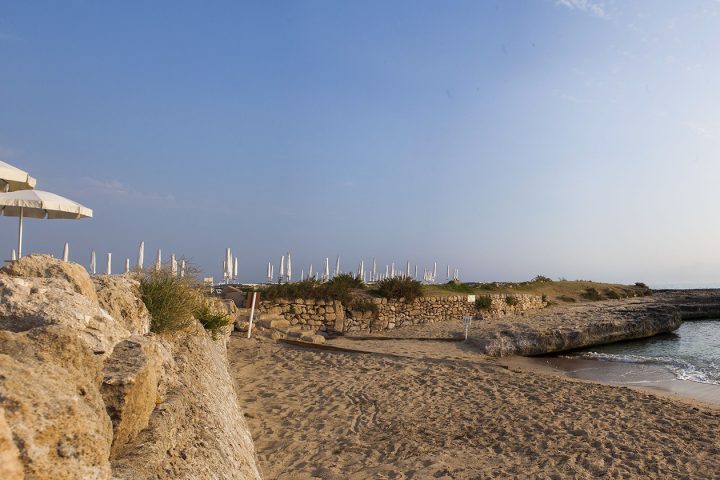 Archeolido