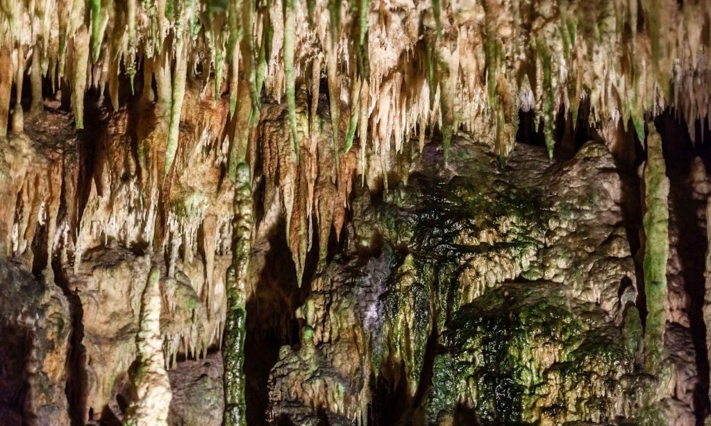 Cuevas de Castellana