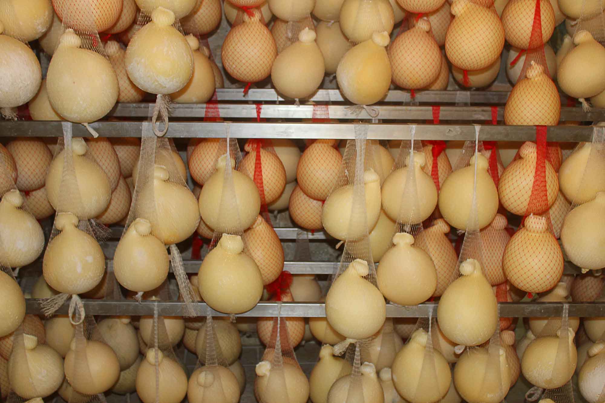 Caciocavallo (Depositphotos)